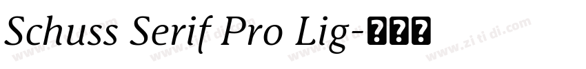 Schuss Serif Pro Lig字体转换